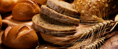 Il nostro pane quotidiano